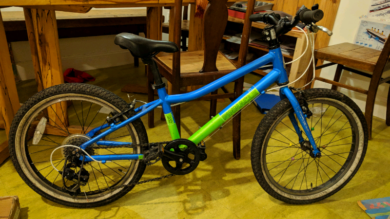 pinnacle ash 20 review