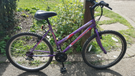 Universal Wild Thing 26&quot; wheels Ladies womens bike bicycle 