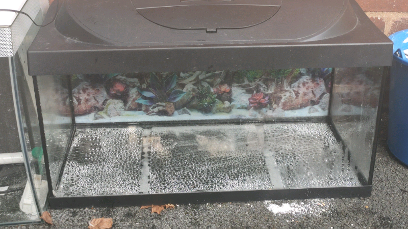 Fish tanks in Telford, Shropshire Gumtree