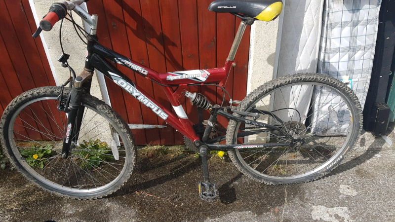 olympus spin bike