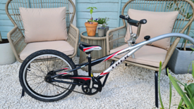 tag along bike gumtree