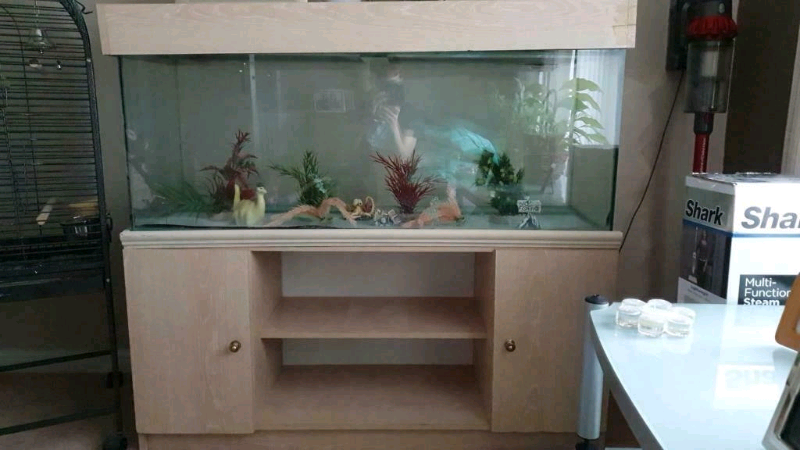 88 Aquarium Design Glasgow HD Terbaik