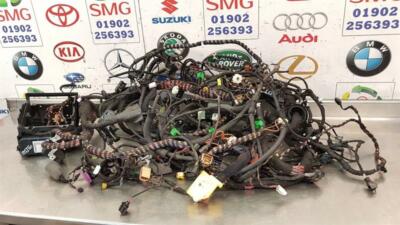 Buy Wiring Harness Body • Car Parts For Sale All Parts - New & UsedIE