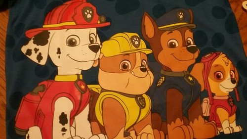 5T Nickolodeon Paw Patrol t-shirt