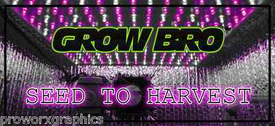 CO2 GENERATOR+ HPS OR LED GROW LIGHTS WITH IR FULL SPECTRUM EQUALS BIG PLANT!