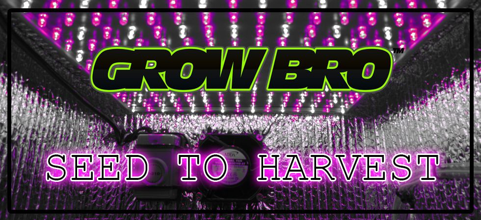 (2) Grow Box CO2 Generator 30% bigger plants for tents, cabinets grow tents PC