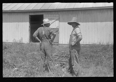 Public auction,central Ohio,OH,Farm Security Administration,FSA,August 1938,48