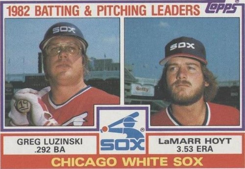 1983 Topps - Greg Luzinski LaMarr Hoyt #591