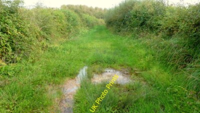 Photo 6x4 Drainage issue Worlington/SS4830 Welling-up of ground water in c2015