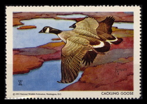 National Wildlife Federation Stamp - 1955 MNH - Cackling Goose