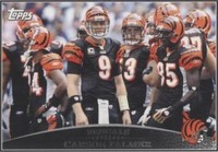 2009 Topps Carson Palmer #112