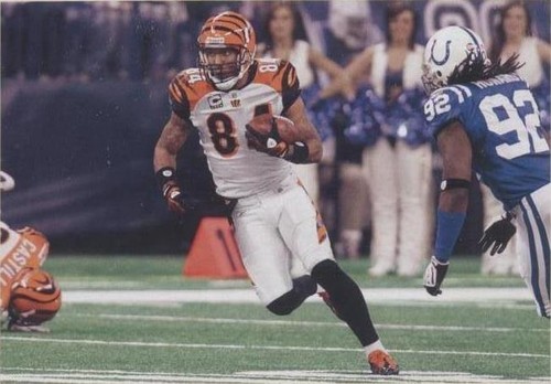 2009 Upper Deck Philadelphia T.J. Houshmandzadeh #364