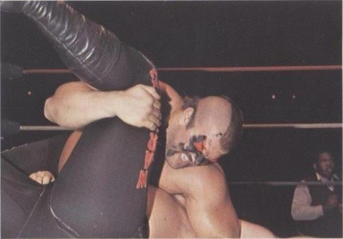 1988 Wonderama NWA - Road Warrior Animal #281