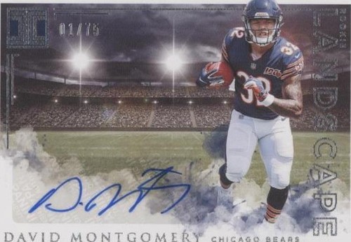 2019 Panini Impeccable #111 David Montgomery Bears RC Auto