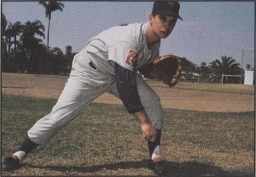 1981 TCMA The 1960's - Dennis Ribant #1981-443