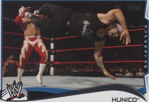 2014 Topps WWE - Hunico #71