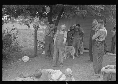 Dinner during wheat harvest time,central Ohio,August 1938,Farm Securiy Admin,31