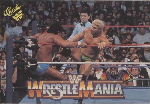 1990 Classic WWF The History of Wrestlemania - Dino Bravo #59