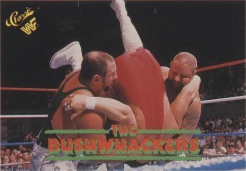 1990 Classic WWF - Bushwhacker Luke #47