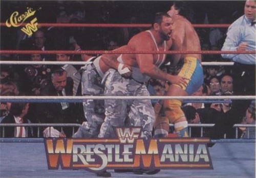 1990 Classic WWF The History of Wrestlemania - Bushwhackers #92