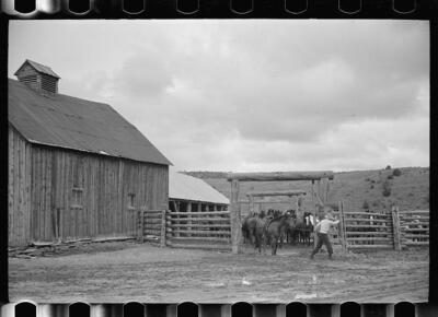 Quarter Circle U roundup,Big Horn County,Montana,MT,Arthur Rothstein,FSA,28