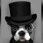 Mitgliederavatar
