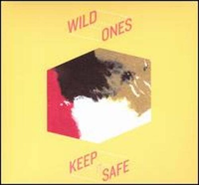 Keep It Safe by Wild Ones: Used