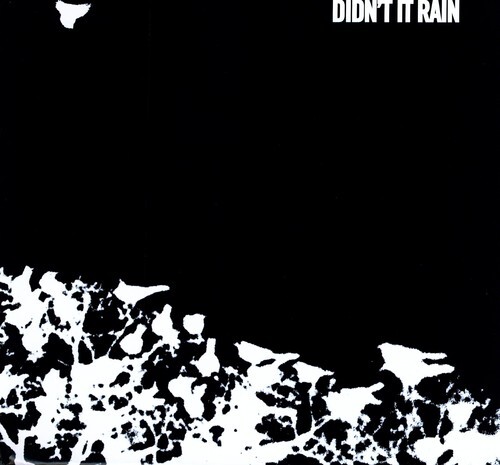 Songs: Ohia - Didn't It Rain [New Vinyl LP]