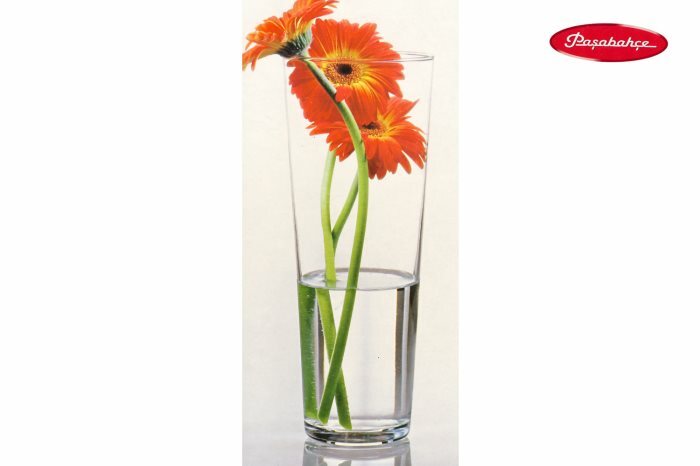 Vaso 26cm Conico In Vetro Trasparente Elegante Per Fiori Piante idea
