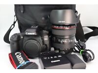 Canon EOS 80D + EF 24-105mm F4L IS USM Lens