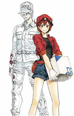 Cells at Work! Complete Manga Box Set! - Paperback, by Shimizu Akane - New