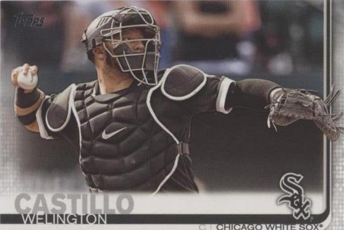 2019 Topps - Welington Castillo #613