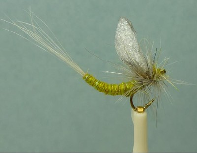 ~ Choose Hook Sizes ~ 24 Artflies Fish Callibaetis Hatch Dry Fly Assortment