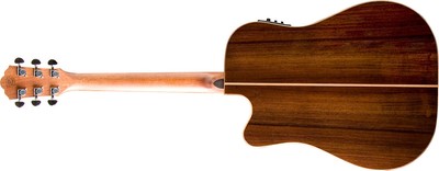 Washburn WD250SWCE  All Solid Wood Acoustic Electric Guitar