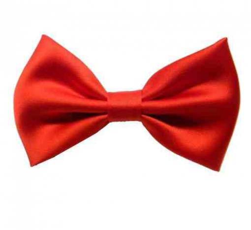 Papillon Rosso Farfallino Regolabile Costume Travestimento Carnevale Feste dfh