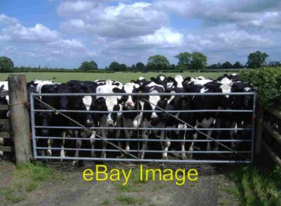 Photo 6x4 No passage? Purton Common  c2007