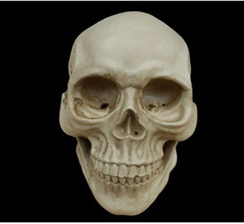 Sell SKULL FIRE DAGGER PATCH 5 INCH BIKER PATCH In U.S.A, United States - Foto 3