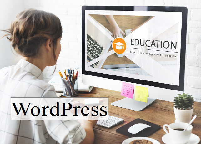 WordPress Webseiten Programmierung - Webdesign - Homepage & Webseite mit CMS 