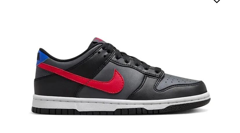Nike dunk low 未使用 $_32.JPG?set_id=880000500F
