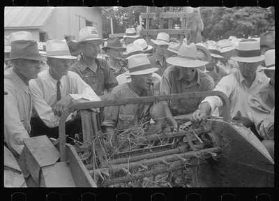 Public auction,central Ohio,OH,Farm Security Administration,FSA,August 1938,24