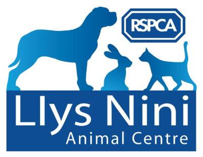 RSPCA Llys Nini Carmarthenshire to Cardiff - Sir Gâr i Gaerdydd