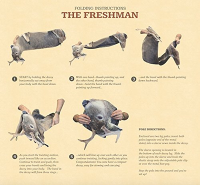 The Freshman (Whitetail Buck) by Montana Decoy