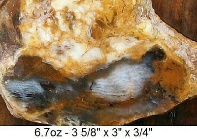 WASHINGTON - ELLENSBURG CALICO PETRIFIED WOOD  SLAB - UNIQUE COLORS & GRAINS