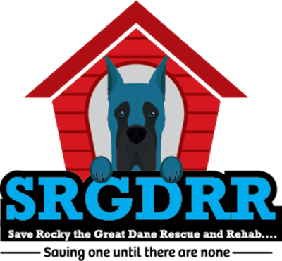 Team Rocky Enterprises Inc