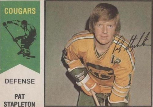 1974-75 O-Pee-Chee WHA - Pat Stapleton #35