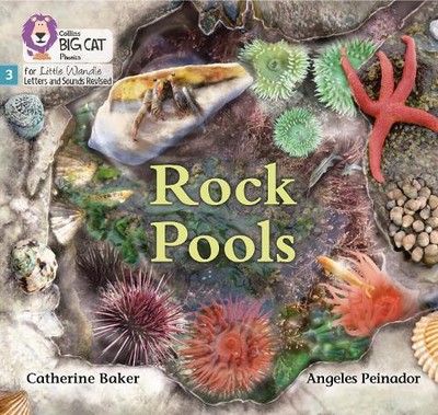 Catherine Baker Rock Pools (Paperback)