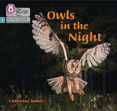 Catherine Baker Owls in the Night (Paperback)