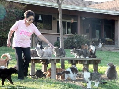 The Cat House on the Kings