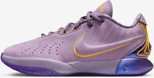 Nike LeBron 21 Multi Color Metallic Silver 28cm HF0700 900 | eBay 