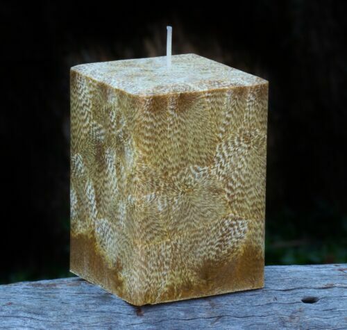 Grande Bougie Koala – Marron – 9 X 7 Pouces – Sans Parfum – Animaux & Insectes